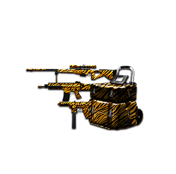<h2><img class='icon' src='/static/images/main/icon-gold.png'><span class='item-name'>Envious Tiger Package</span></h2>