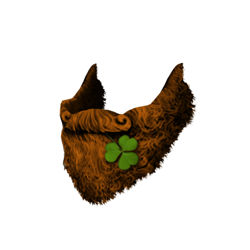 <h2><img class='icon' src='/static/images/main/icon-gold.png'><span class='item-name'>St.Patrick Beard</span></h2>