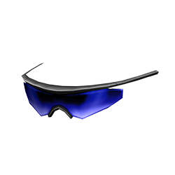 <h2><img class='icon' src='/static/images/main/icon-gold.png'><span class='item-name'>Sports Glasses</span></h2>