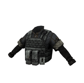 <h2><img class='icon' src='/static/images/main/icon-gold.png'><span class='item-name'>SCS Vest</span></h2>
