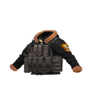<h2><img class='icon' src='/static/images/main/icon-gold.png'><span class='item-name'>VALOFE Limited 4th Vest</span></h2>