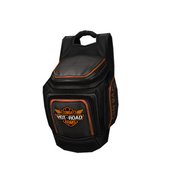 <h2><img class='icon' src='/static/images/main/icon-gold.png'><span class='item-name'>Hot Road Backpack</span></h2>