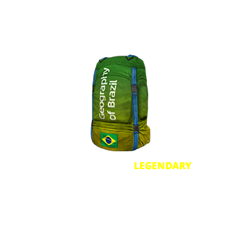 <h2><img class='icon' src='/static/images/main/icon-gold.png'><span class='item-name'>Brazil Backpack</span></h2>